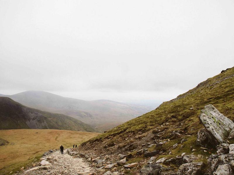 乐迷星球<br>演唱会门票抢票与应援群